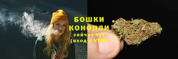 гидра Пролетарск