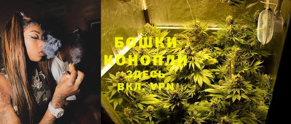 твердый Абаза