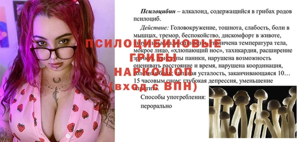 твердый Абаза