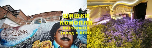 тгк Протвино
